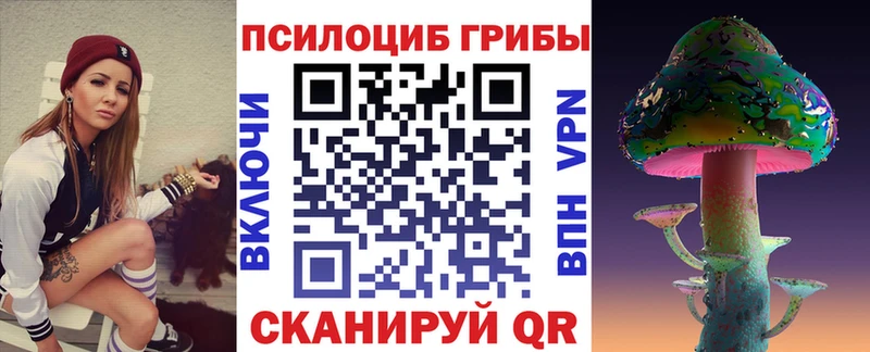 Псилоцибиновые грибы Psilocybe  Правдинск 
